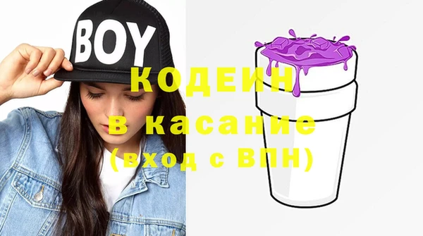 хмурый Бородино