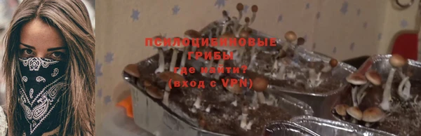 экстази Рославль