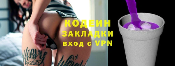 хмурый Бородино
