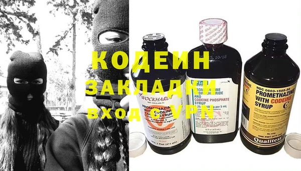 хмурый Бородино