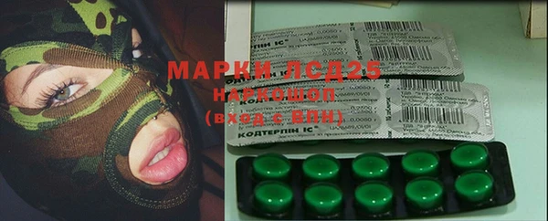 хмурый Бородино